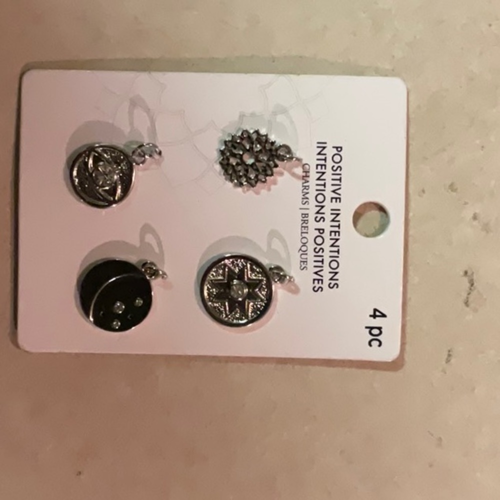Jewelry charm